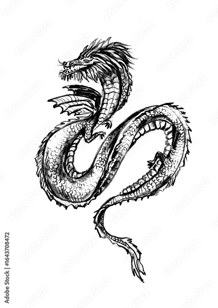 Obraz premium Hand drawn dragon zodiac sign illustration, horoscope background.