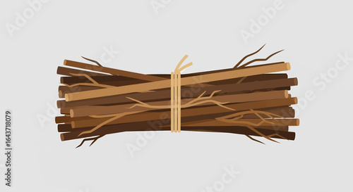 Collection of dry tree branches tied in a bundle, rustic firewood concept isolated on a light background.