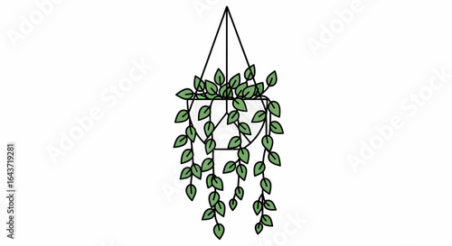 Simple vector illustration of a green hanging plant in a pot, isolated line art for home decor and botany.