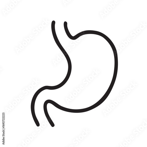 Stomach outline on white background depicting human digestive system health and medical illustration for education and healthcare concept