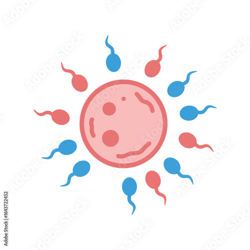Red egg cell surrounded by blue and red sperm, fertilization, reproduction, infertility, pregnancy, biology
