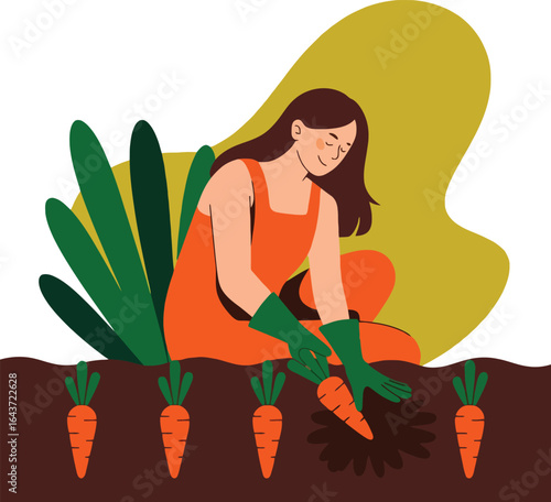 Woman Gardening, Harvesting Fresh Carrots from the Soil in a Vibrant Garden Setting