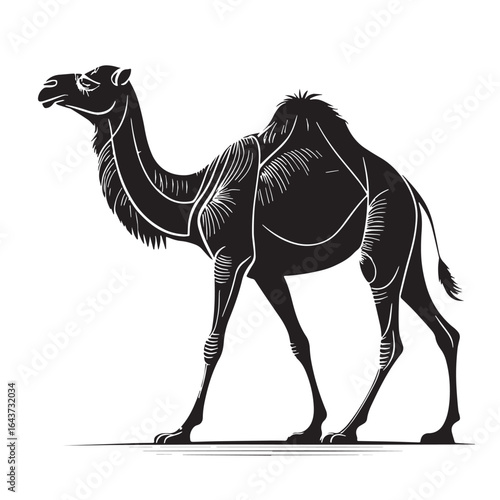 black arabian camel Silhouette Vector, High Quality Illustration on White Background