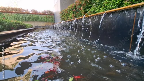 Mini waterfall in the garden