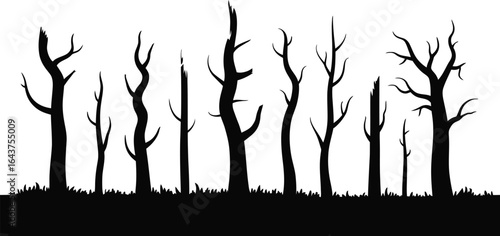 Silhouette of bare and broken trees against a stark background
