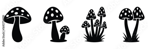 Mushrooms silhouettes set isolated flat vector illustration. Mushrooms silhouette in black. Mushroom and toadstool collection. Set of mushrooms silhouettes. Mushrooms with grass silhouette