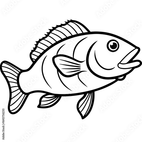 Grouper line art vector