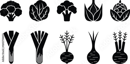 Stylized mixed greens and root vegetables silhouettes with color accents