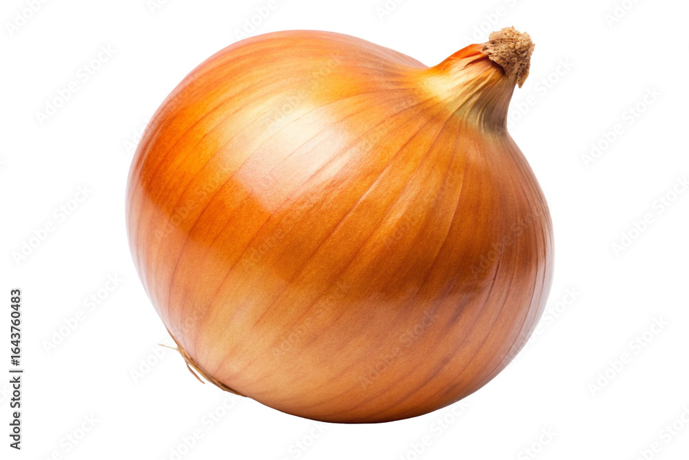 custom made wallpaper toronto digitalOnion isolated on white background for fresh vegetable and organic cooking ingredient photography
