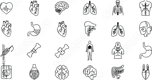 Collection of human organs and skeletal structures in simple line art style illustration set design