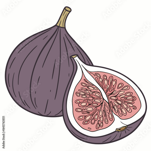 Illustration of whole and halved figs, showcasing their unique textures and colors