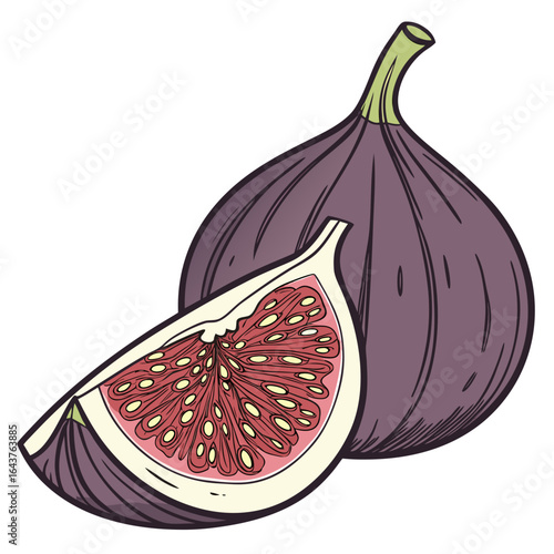 Illustration of two Figs one whole and one sliced showing inside