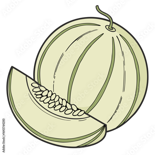 Illustration of honeydew melon whole and a slice with seeds, delicious fruit