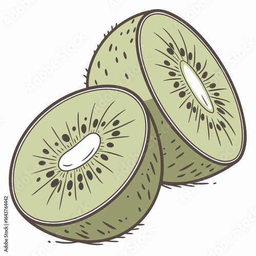 Artistic depiction of two halves of a fresh green kiwi fruit