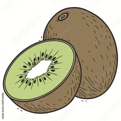Two kiwi fruit, one whole and one sliced in half, illustration style