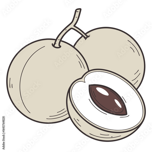 Cartoon Drawing of Loquats with One Fruit Cut Open to Display Seed