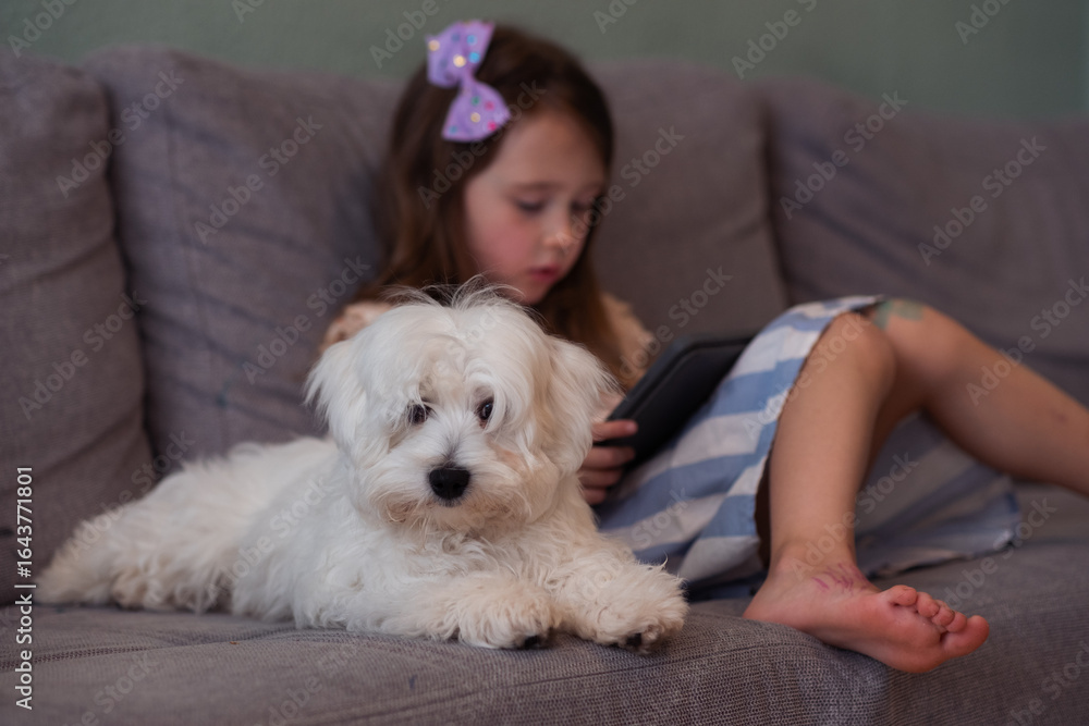 Beautiful little white girl and her white puppy are sitting on the sofa in the room. The girl is looking at the tablet, and the dog is lying next to her. Cozy home atmosphere of life with pets Beautiful little white girl and her white puppy are sitting on the sofa in the room. The girl is looking at the tablet, and the dog is lying next to her. Cozy home atmosphere of life with pets