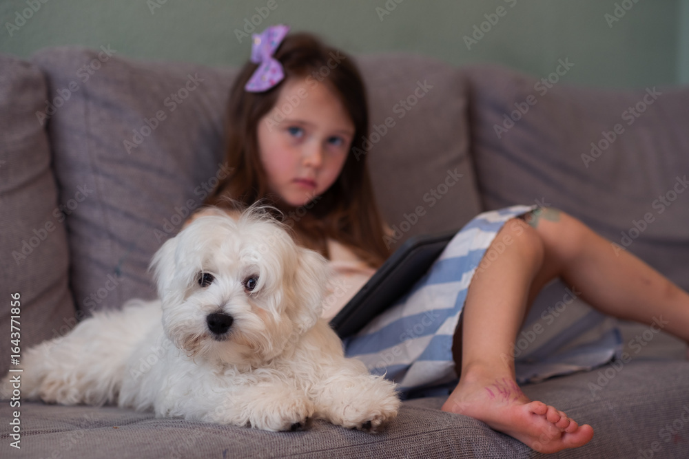 Beautiful little white girl and her white puppy are sitting on the sofa in the room. The girl is looking at the tablet, and the dog is lying next to her. Cozy home atmosphere of life with pets Beautiful little white girl and her white puppy are sitting on the sofa in the room. The girl is looking at the tablet, and the dog is lying next to her. Cozy home atmosphere of life with pets