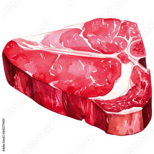 Watercolor Illustration of Raw Porterhouse Steak 