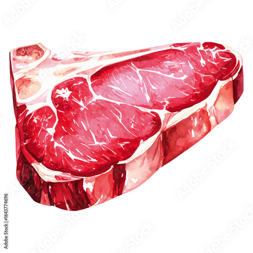 Watercolor Illustration of Raw Porterhouse Steak 