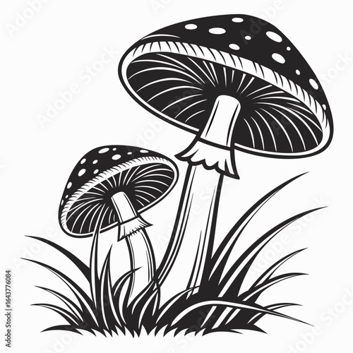 vector illustration of mushrooms