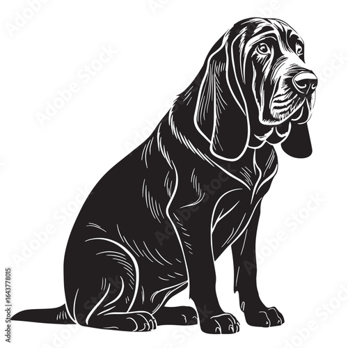 black bloodhound Silhouette Vector, High Quality Illustration on White Background