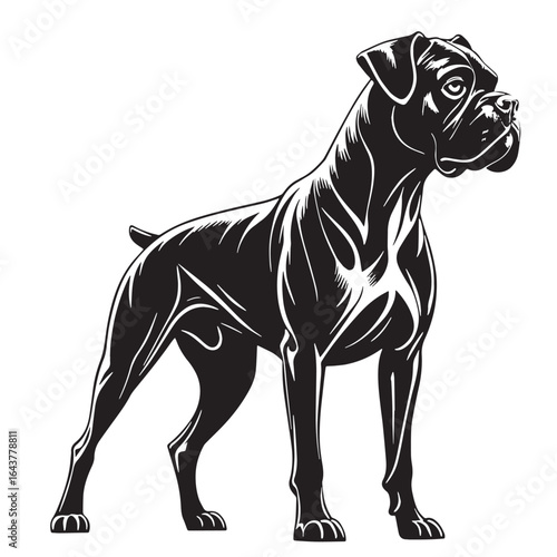 black boxer dog Silhouette Vector, High Quality Illustration on White Background