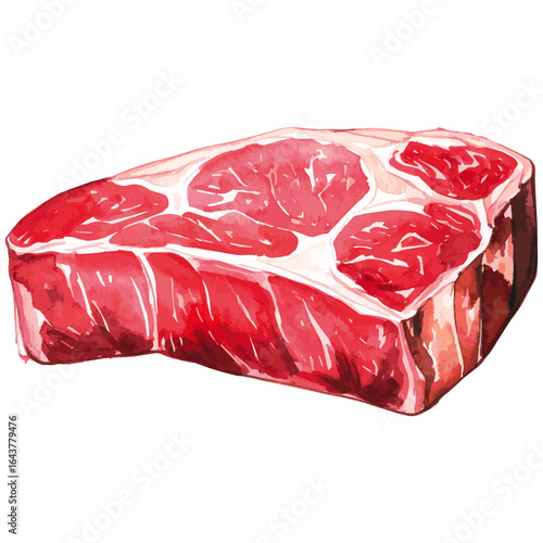 Watercolor Illustration of Raw Sirloin Steak Cut
