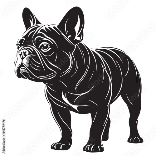 black bulldog Silhouette Vector, High Quality Illustration on White Background