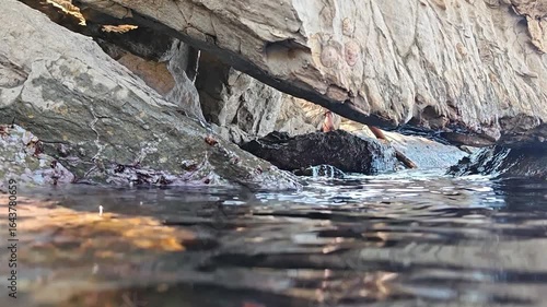 Crystal clear Adriatic Sea beneath the coastal rocks with serene underwater and surface atmosphere