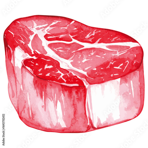 Watercolor Illustration of Raw Filet Mignon Beef Cut