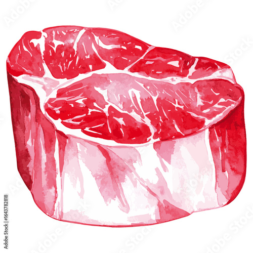 Watercolor Illustration of Raw Filet Mignon Beef Cut