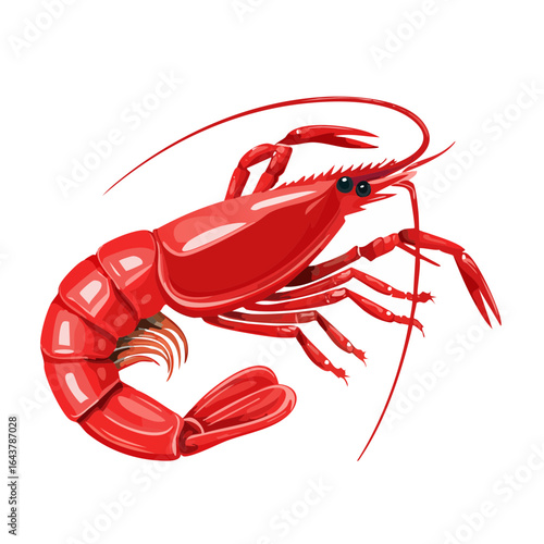 Red prawn illustration for seafood design projects Fresh crustacean culinary element Nautical theme for menus or advertisements