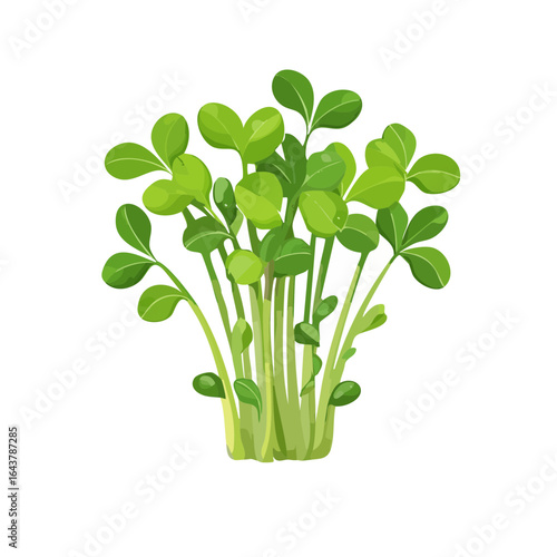 Fresh green microgreens illustration plants growing isolated organic food vegetarian diet healthy nutrition