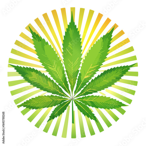 Cannabis leaf illustration with retro sun rays on black background. Graphic design for cannabis related topics.