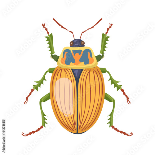 Colorful beetle illustration featuring orange, blue, and yellow on a black backdrop Entomology art exotic insect design