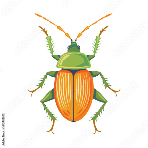 Detailed Illustration of a Colorful Beetle on a Black Background, Entomology Specimen