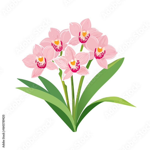 Elegant Pink Orchid Flowers Arrangement with Lush Green Leaves Isolated on Black Background