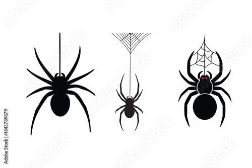 Black tarantula spider, a Halloween symbol, isolated on a white background for a vector design illustration