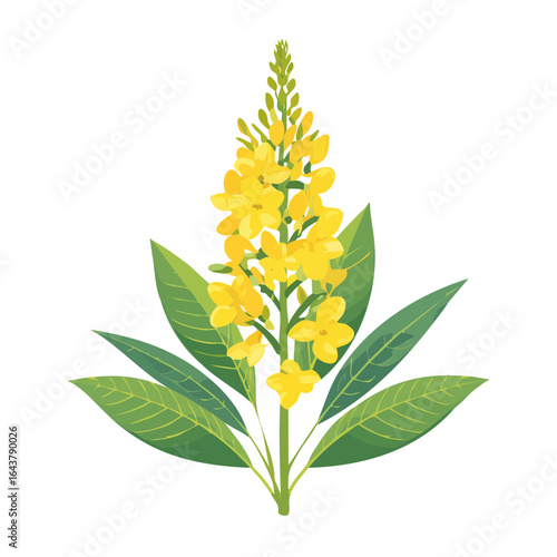 Elegant Yellow Flower Spike with Green Leaves - Botanical Illustration on Black Background