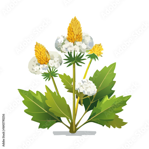 Stylized Thistlelike Flowers Illustration Thistle Inspired Flora White Flowers Yellow Buds Green Leaves Natural Illustration