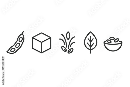 Line art illustrations of natural ingredients highlighting healthy meal prep and plant-based cooking concepts