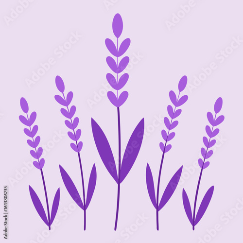 Simple purple lavender stalks on a light purple background