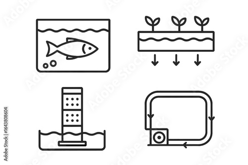 Understanding aquaponics as a sustainable agricultural practice for efficient food production and ecosystem health