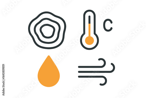 Weather symbols representing temperature, precipitation, and wind in a minimalistic design for educational purposes
