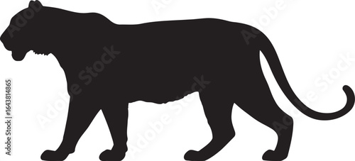 Black silhouette of a royal bengal tiger on a white background silhouette