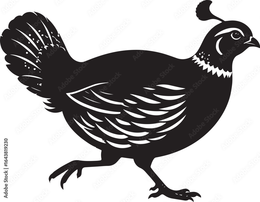 Obraz premium northern bobwhite quail vector silhouette, northern bobwhite quail clipart vector