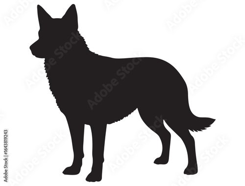AUSTRALIAN KELPIE DOG SILHOUETTE