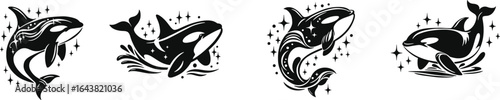 Set of orca vector illustrations with dynamic poses, ocean splash effects and sparkling star elements in bold black design on white background