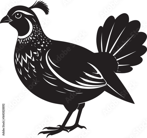 northern bobwhite quail vector silhouette, northern bobwhite quail clipart vector